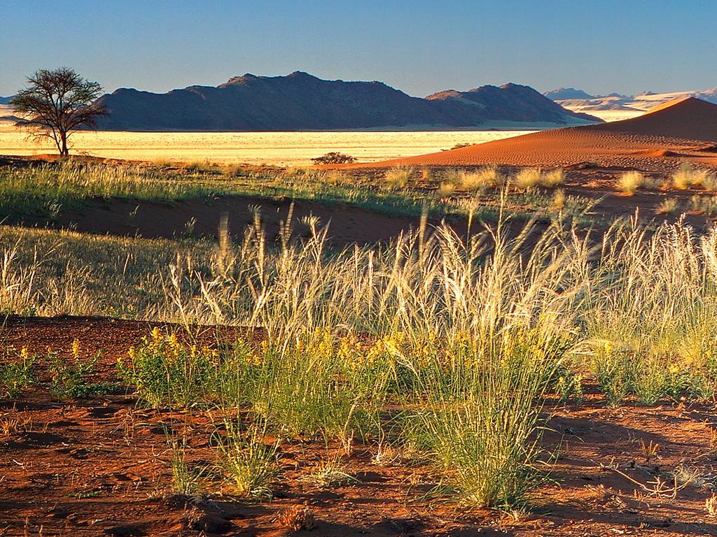 Gondwana Namib Desert Lodge Solitaire Exteriér fotografie